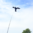 Black Bird Vogelscheuche Kite