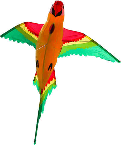 Parrot 3D (R2F)