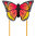 Butterfly Kite Monarch "L" (R2F)