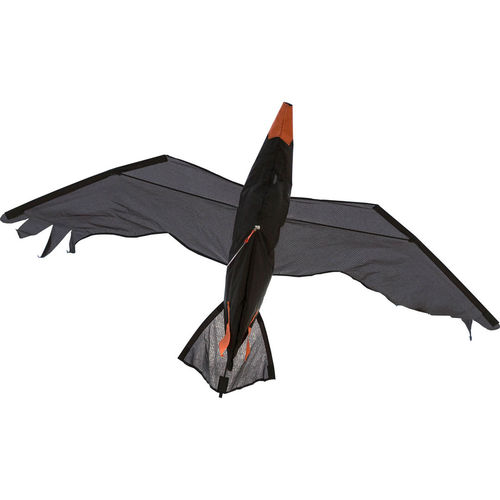 Raven 3D (R2F)