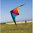 Bebop Prisma - Rainbow (R2F)