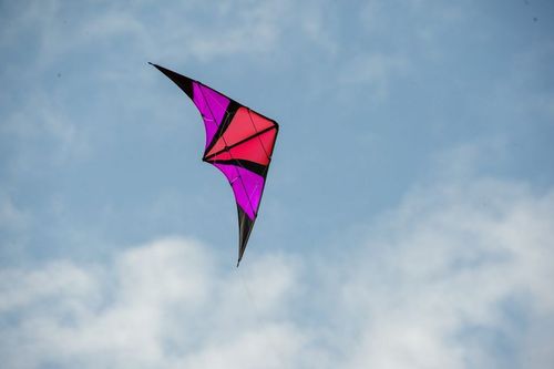 Wingman Pink (R2F)