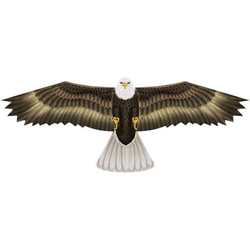 Eagle (R2F)